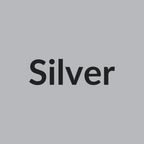 Silver color swatch for Gravity Swift 21