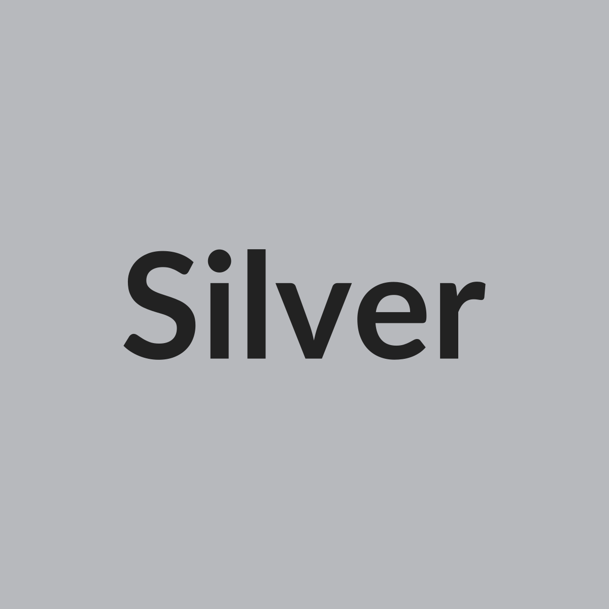 Silver color swatch for Gravity Swift 21